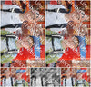 Evenement foto: 2886