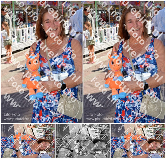 Evenement foto: 2884
