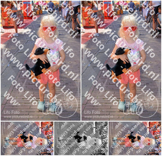 Evenement foto: 2884