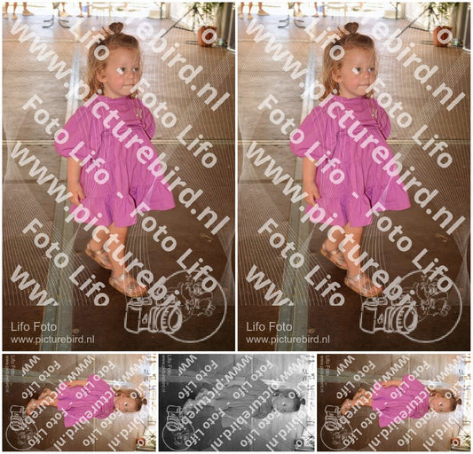 Evenement foto: 2800