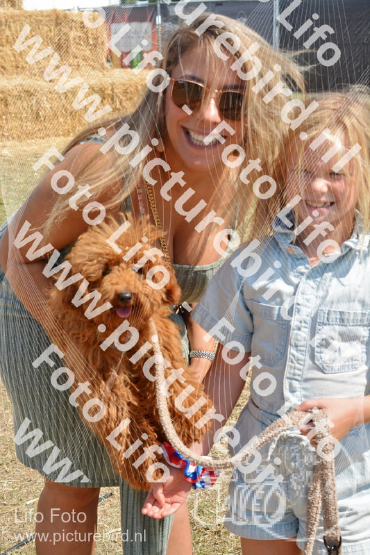 Evenement foto: 2800