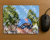 Evenement foto: 2800