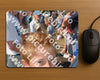 Evenement foto: 2797