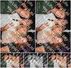 Evenement foto: 2892
