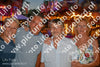 Evenement foto: 2891