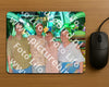 Evenement foto: 2891