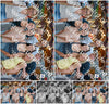 Evenement foto: 2890