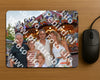 Evenement foto: 2890