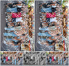 Evenement foto: 2889