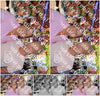 Evenement foto: 2888