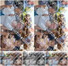 Evenement foto: 2888
