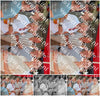 Evenement foto: 1321