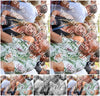 Evenement foto: 1321