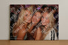 Evenement foto: 1322