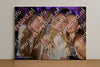 Evenement foto: 1322