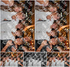 Evenement foto: 1323