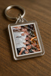 Evenement foto: 1323