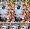 Evenement foto: 2953