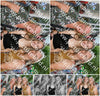 Evenement foto: 2953