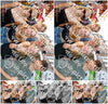 Evenement foto: 2954