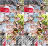 Evenement foto: 2954