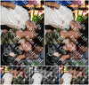 Evenement foto: 2965