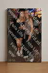 Evenement foto: 2965