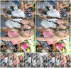 Evenement foto: 2982
