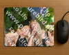 Evenement foto: 2982