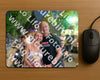 Evenement foto: 2982