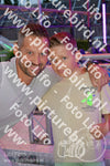 Evenement foto: 1208
