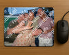 Evenement foto: 1208