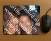 Evenement foto: 1208