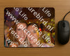 Evenement foto: 1209
