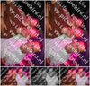Evenement foto: 1209