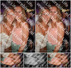 Evenement foto: 1210