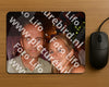 Evenement foto: 1210