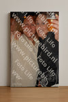 Evenement foto: 1212