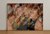 Evenement foto: 1212