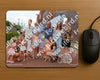 Evenement foto: 1370