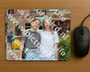Evenement foto: 1370