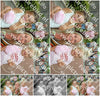 Evenement foto: 1371