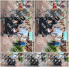 Evenement foto: 1371