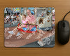 Evenement foto: 1371