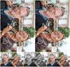 Evenement foto: 1371