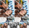 Evenement foto: 1372