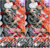 Evenement foto: 1373