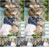 Evenement foto: 1373