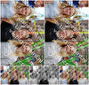 Evenement foto: 1368