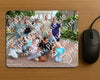 Evenement foto: 1369